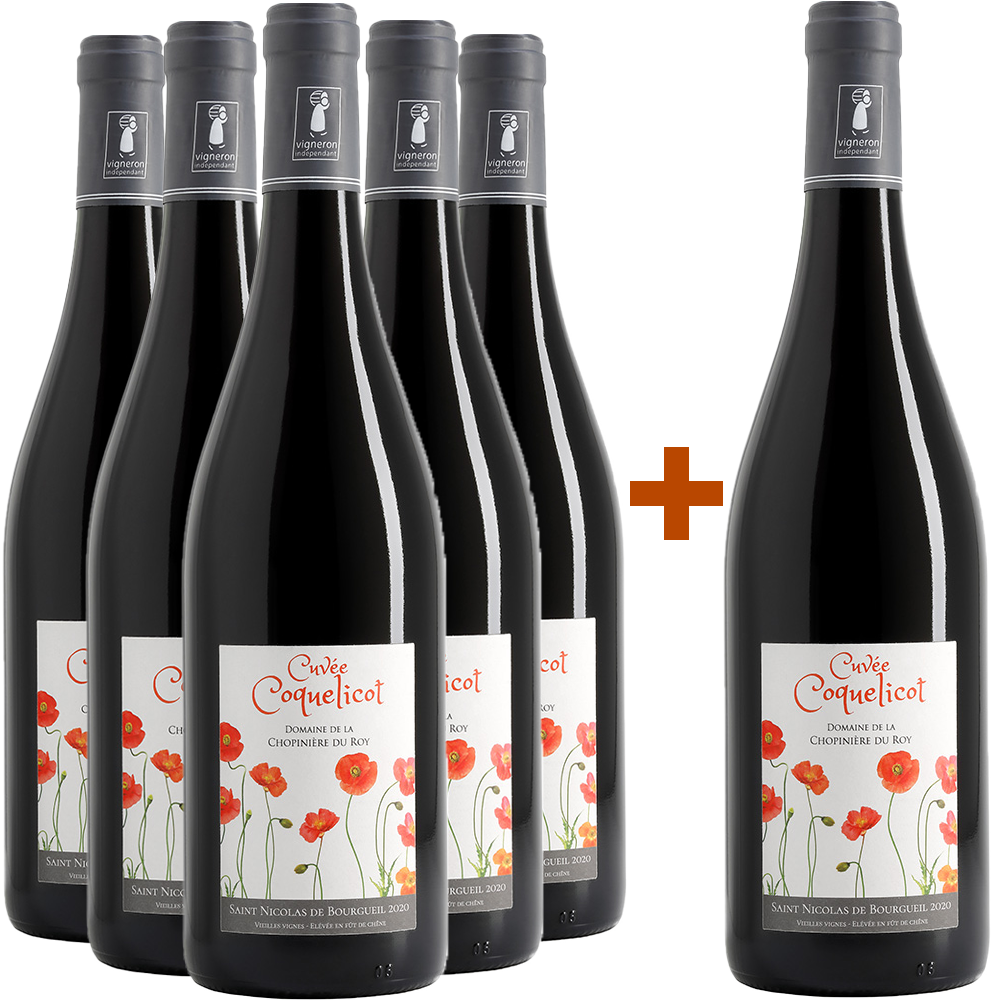 5+1 2024 Cuvée "Coquelicot" Saint Nicolas de Bourgueil AOP trocken