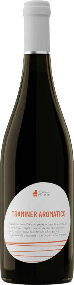 2024 Traminer Aromatico Friuli DOC