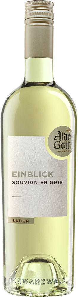 2025 Einblick Souvignier Gris