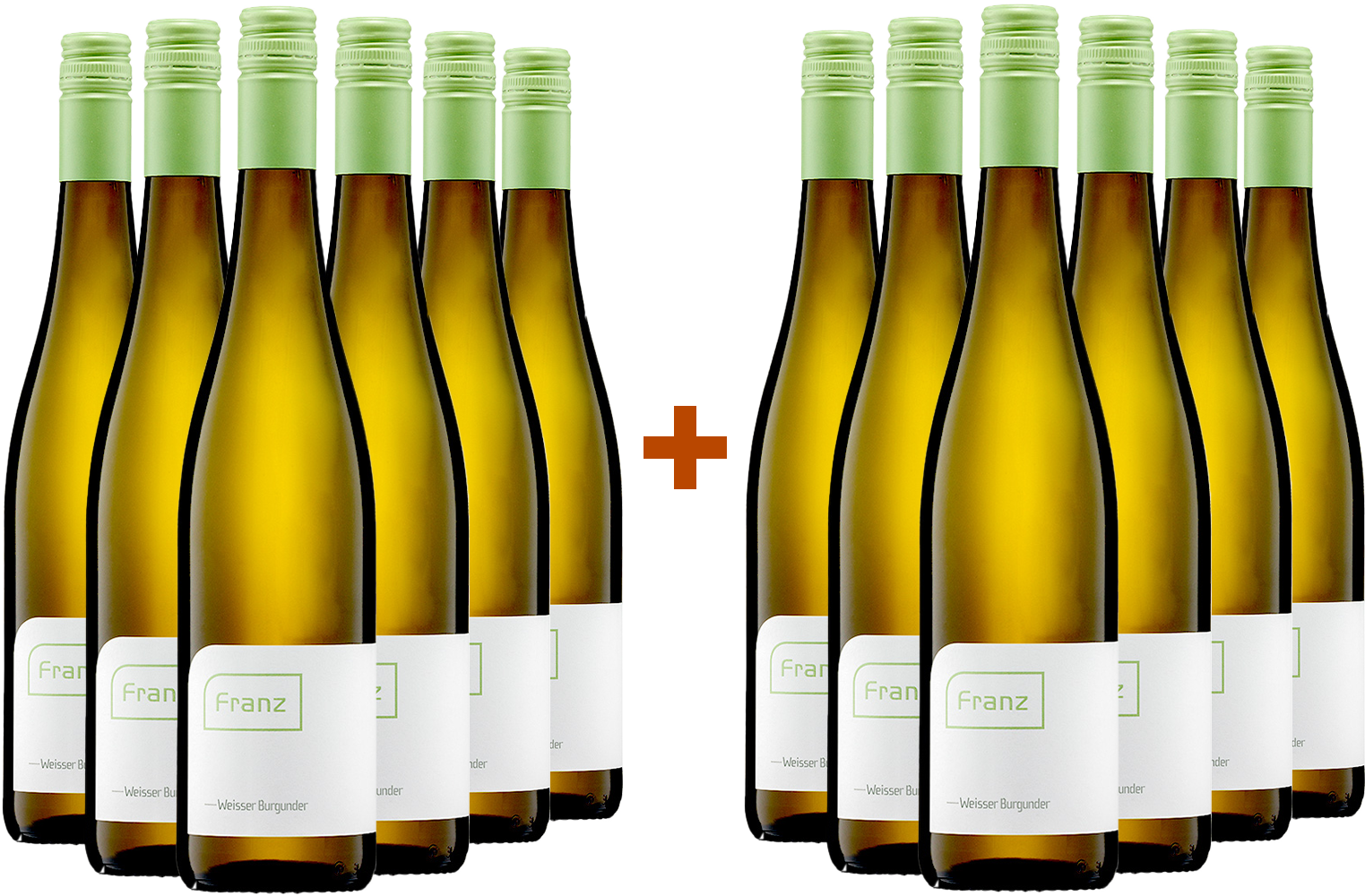 6+6 Paket 2024 Weißburgunder trocken BIO