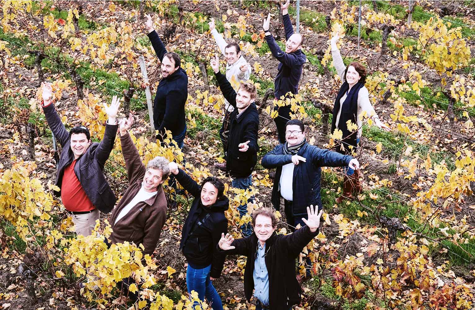 Bordeaux Vignerons