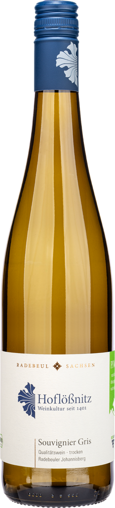 2025 Souvignier Gris - Radebeuler Johannisberg BIO