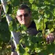 Weingut Wilhelm
