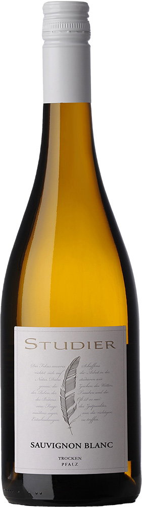 2025 Sauvignon Blanc BIO