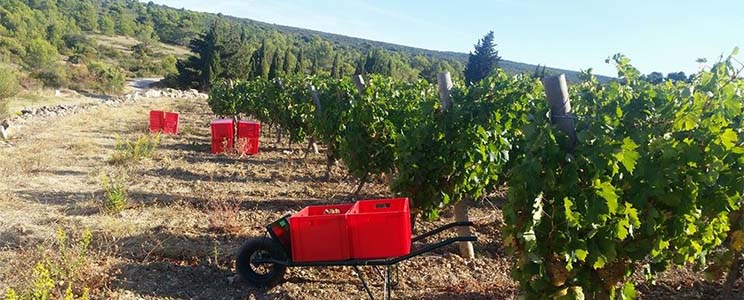 Domaine les Jeanneterres