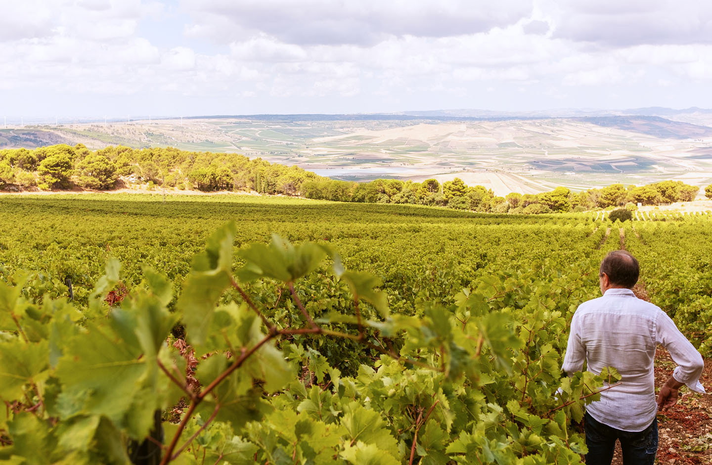Cantine d’Urso