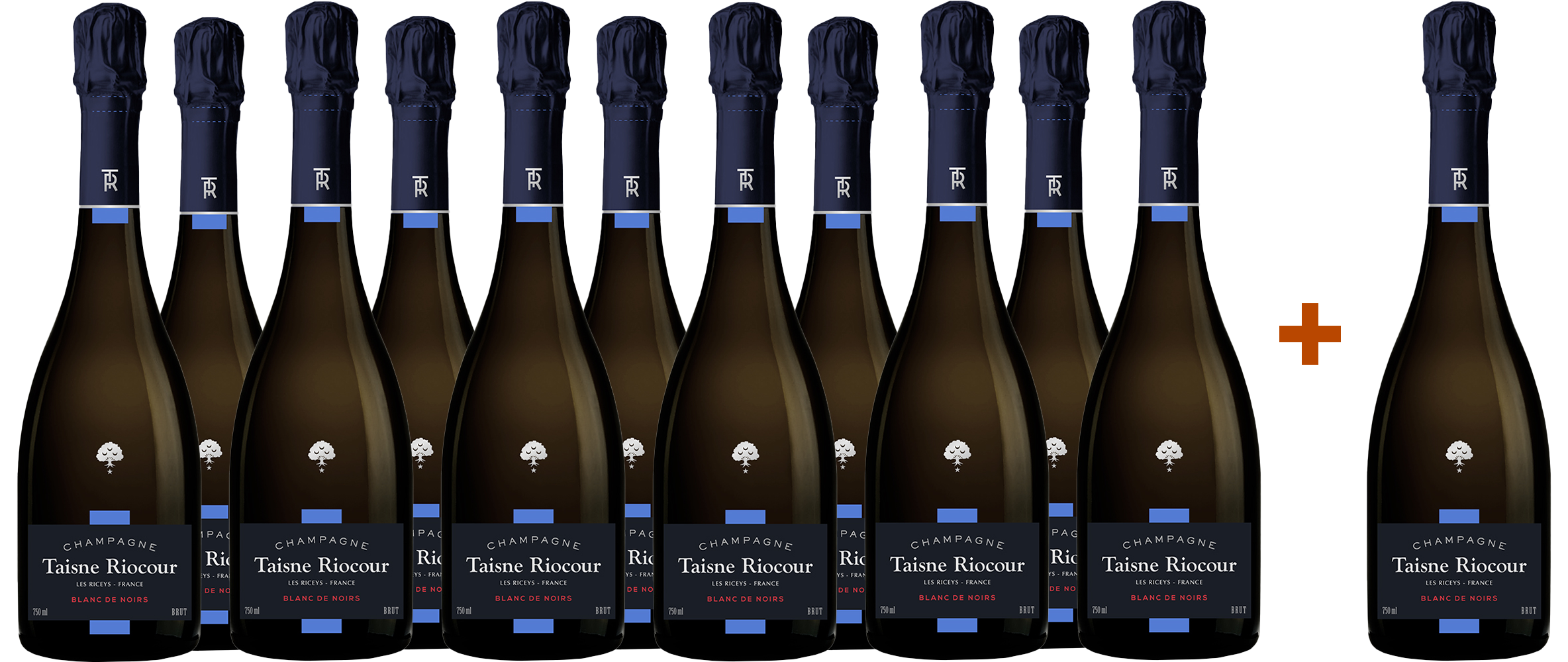 11+1 Paket Blanc de Noirs Champagne AOP