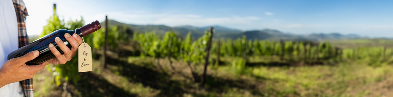 Günstiger Wein bis 6 Euro direkt vom Winzer im Weinberg