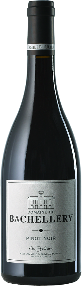 2023 Pinot Noir Pays d'Oc IGP