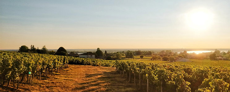 Château Saincrit