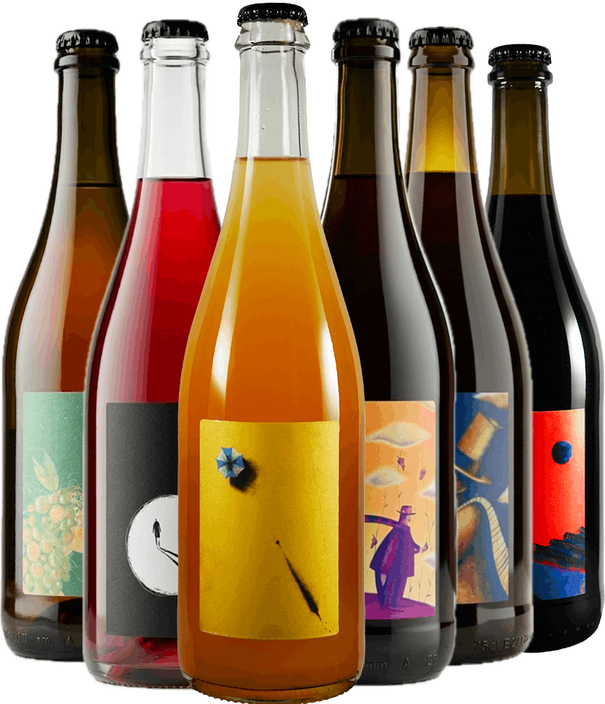 Viv Kennenler-Paket