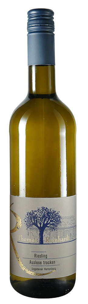 2025 Ungsteiner Herrenberg Riesling