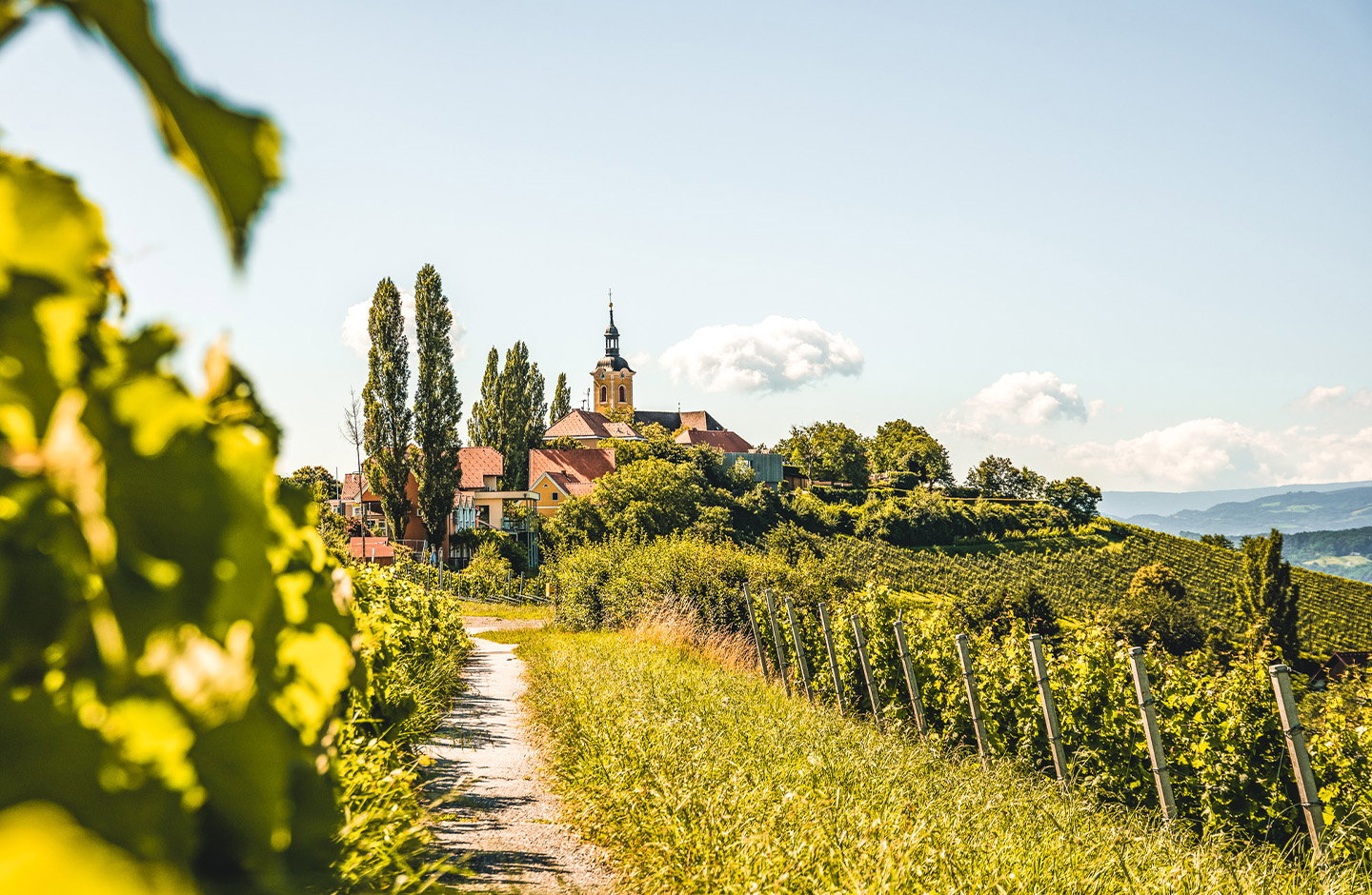 Baderwein