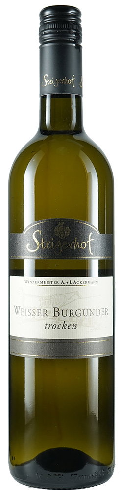2023 Weisser Burgunder