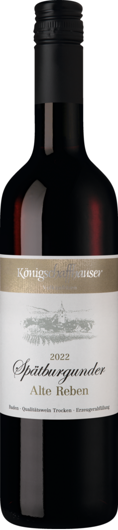 2022 Königschaffhauser Vulkanfelsen Spätburgunder