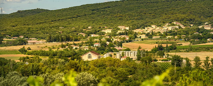 Les Vignerons des Capitelles