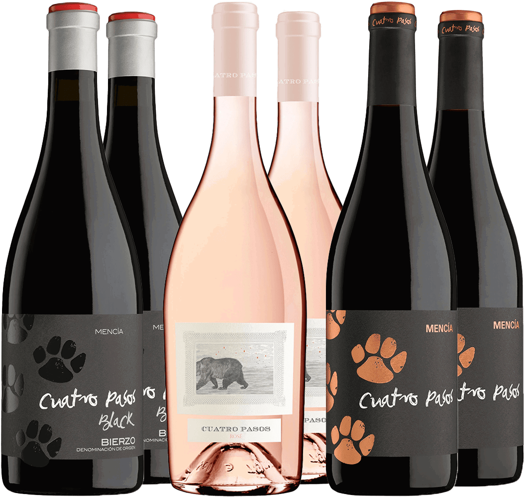 Kennenlern-Paket 4 Pasos Bierzo DO