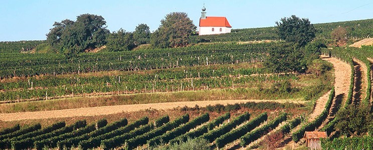 Weinhof Illa & Oscar Szemes