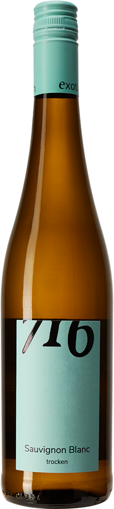 2025 Sauvignon Blanc 716