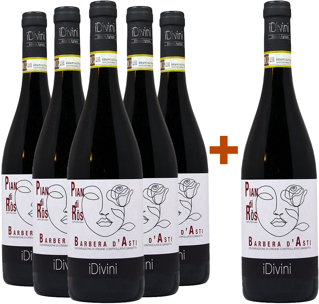 5+1 Paket Pian di Rös Barbera d’Asti DOCG