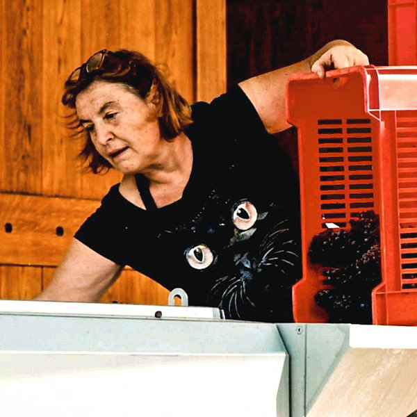 Giancarla Domini