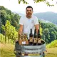 Wein.Gölles