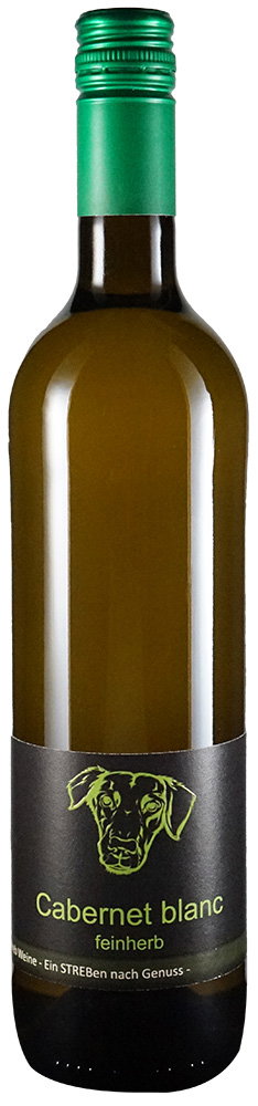 2022 Cabernet blanc BIO