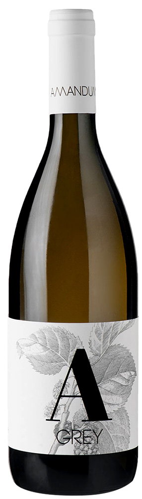 2023 Grey Pinot Grigio Friuli Isonzo DOC
