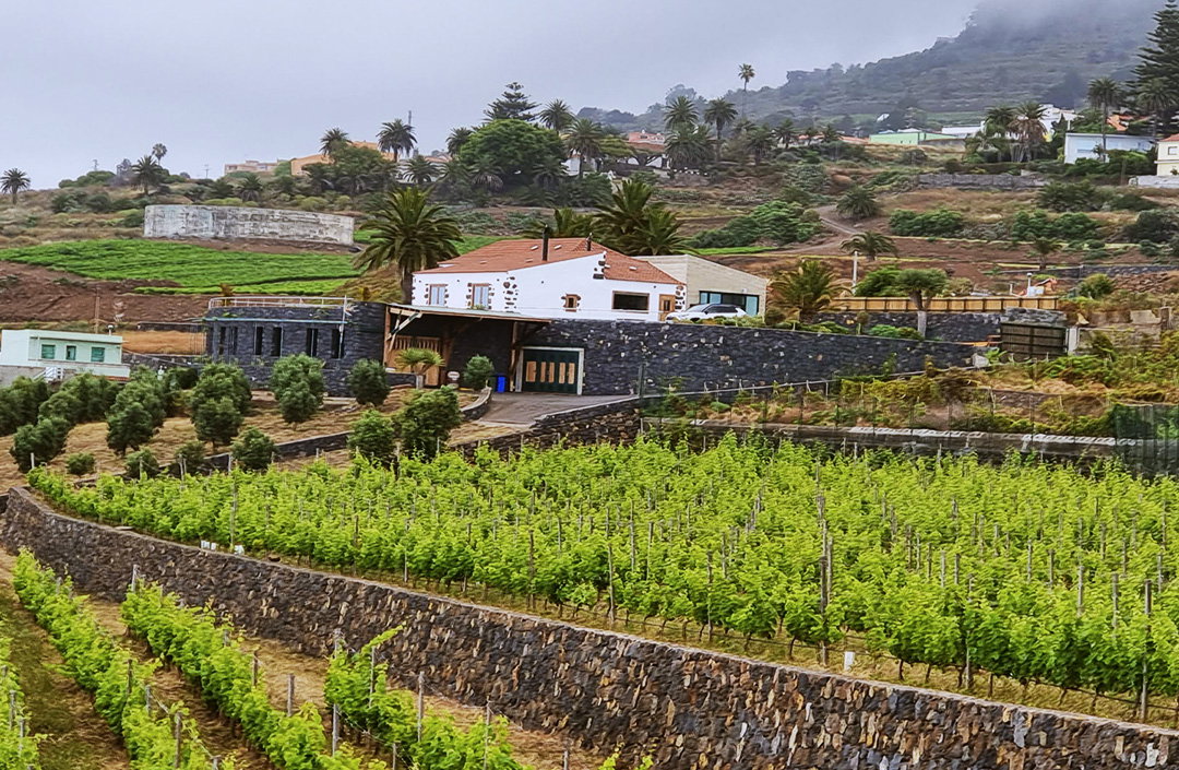 Bodegas El Sitio