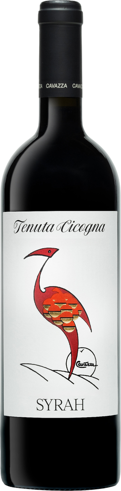 2021 Cicogna Syrah Veneto IGP