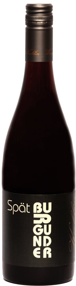 2022 Spätburgunder Rotwein Gutswein