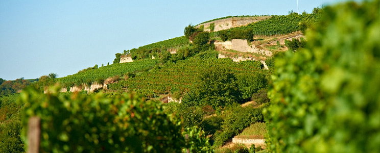 Raßkopf-Hofmann