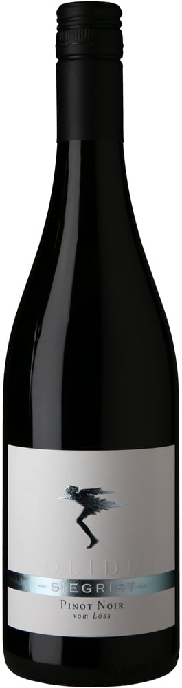 2019 Pinot Noir vom Löss VDP.Gutswein