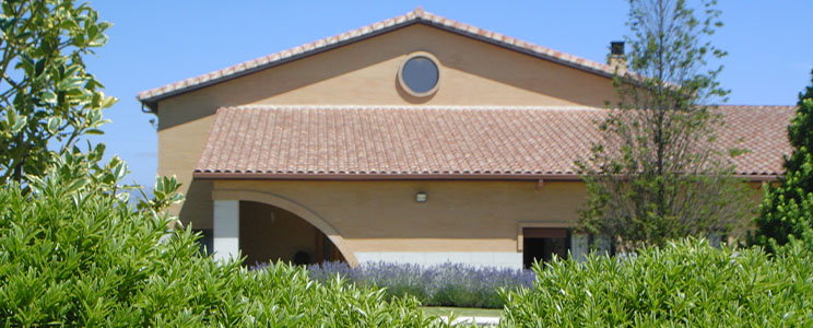 Finca Nueva