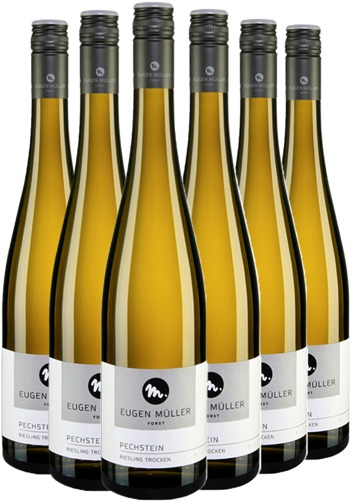 Paket Riesling "Pechstein" trocken