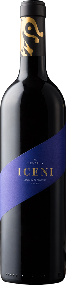 2025 Iceni Cádiz VT