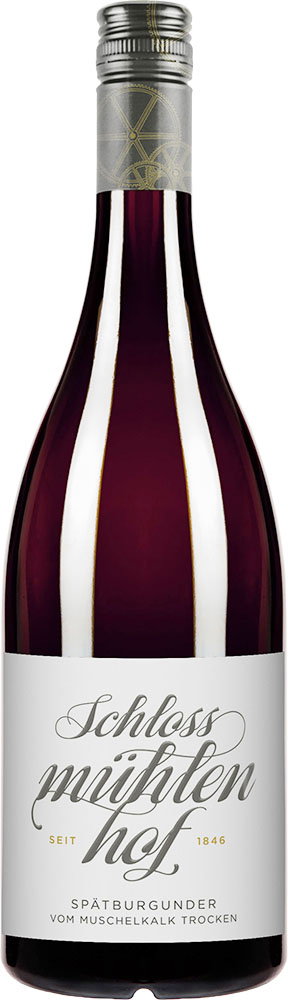 2024 Spätburgunder Rotwein - vom Muschelkalk -