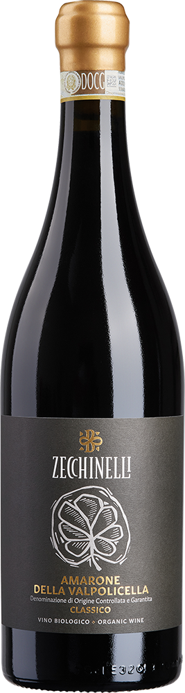 2019 Amarone della Valpolicella DOCG BIO