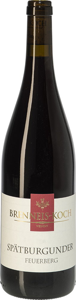 2018 Dürkheimer Feuerberg Spätburgunder Rotwein
