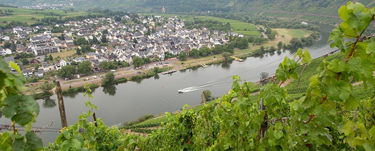 Bioweingut Frank Brohl