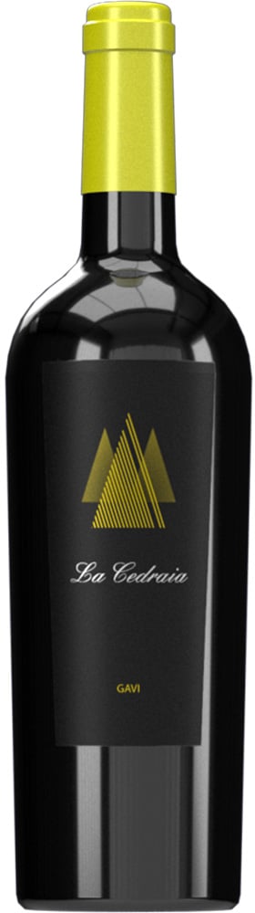 Gavi DOCG Selezione