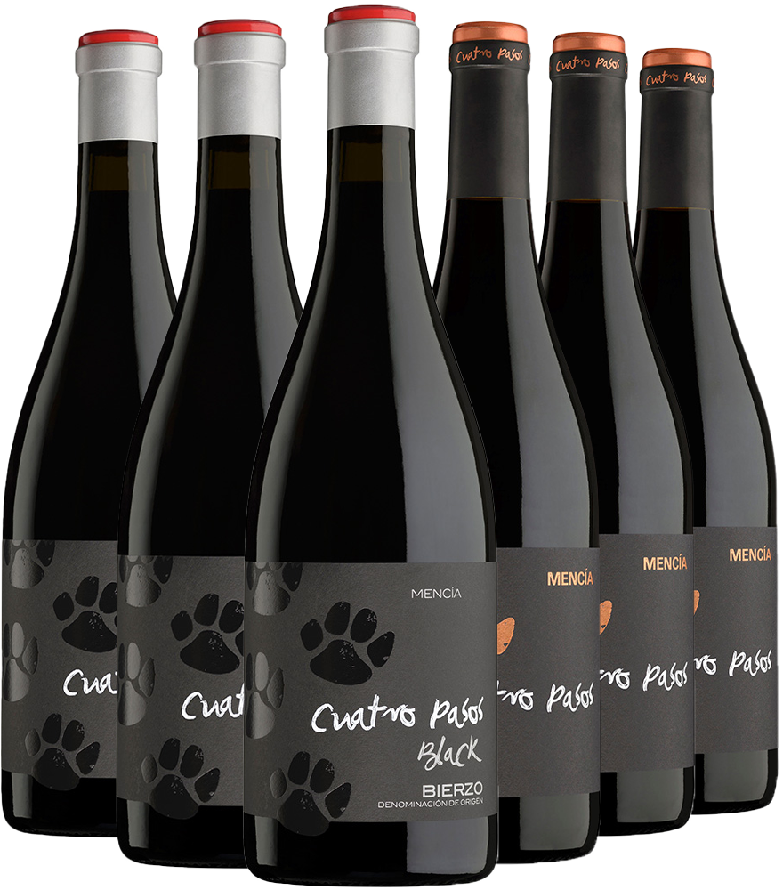 Kennenlernpaket Mencía 4 Pasos Bierzo DO