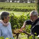 Les Vignerons de Tutiac