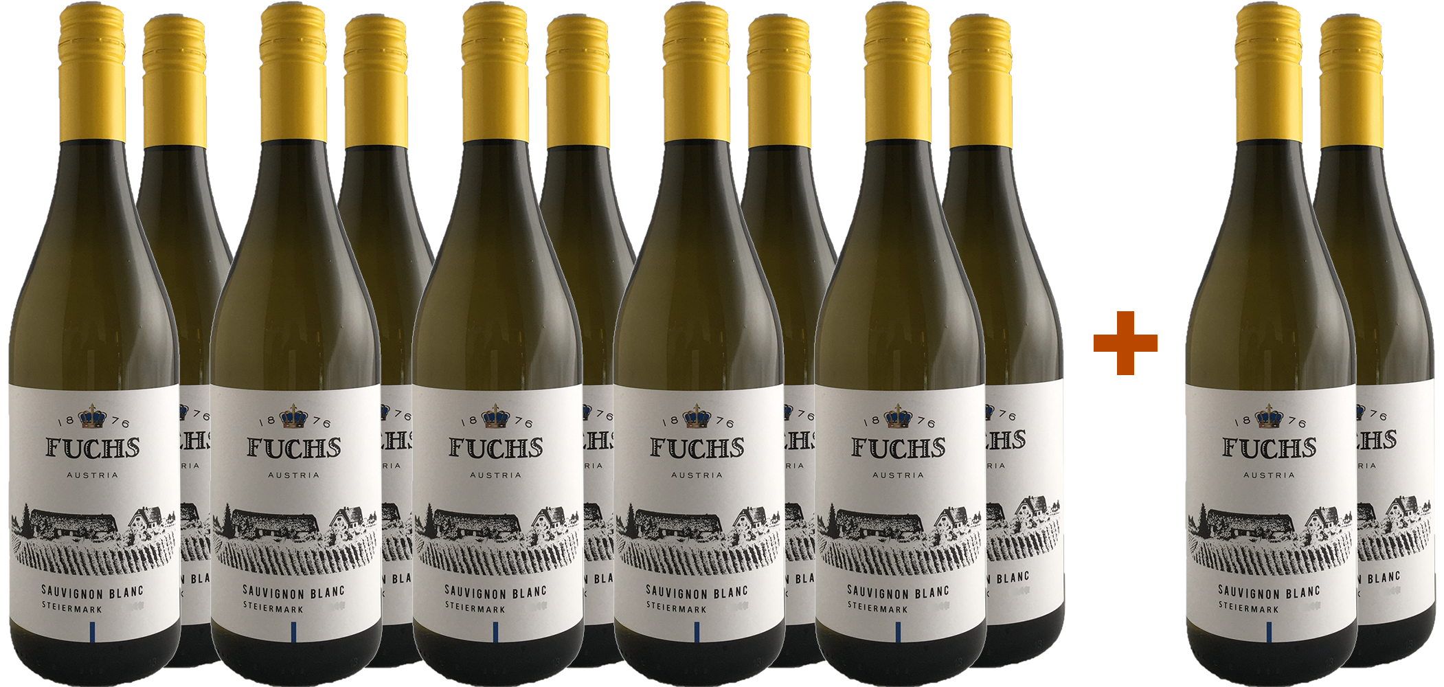 10+2 2025 Steiermark Sauvignon Blanc Paket