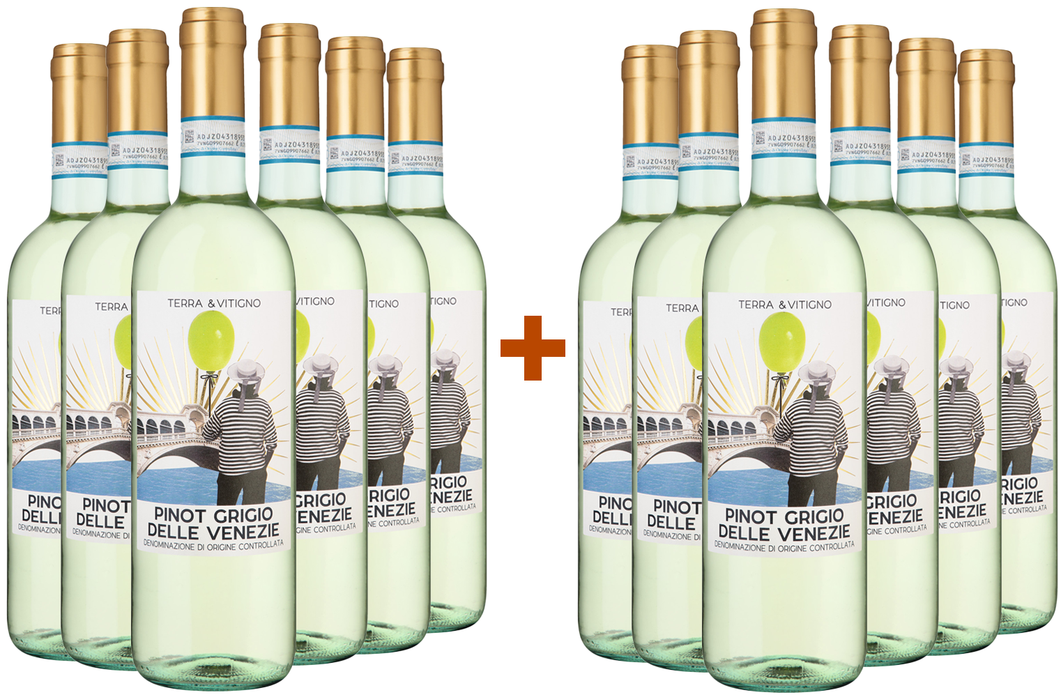 6+6 Paket Terra & Vitigno Pinot Grigio