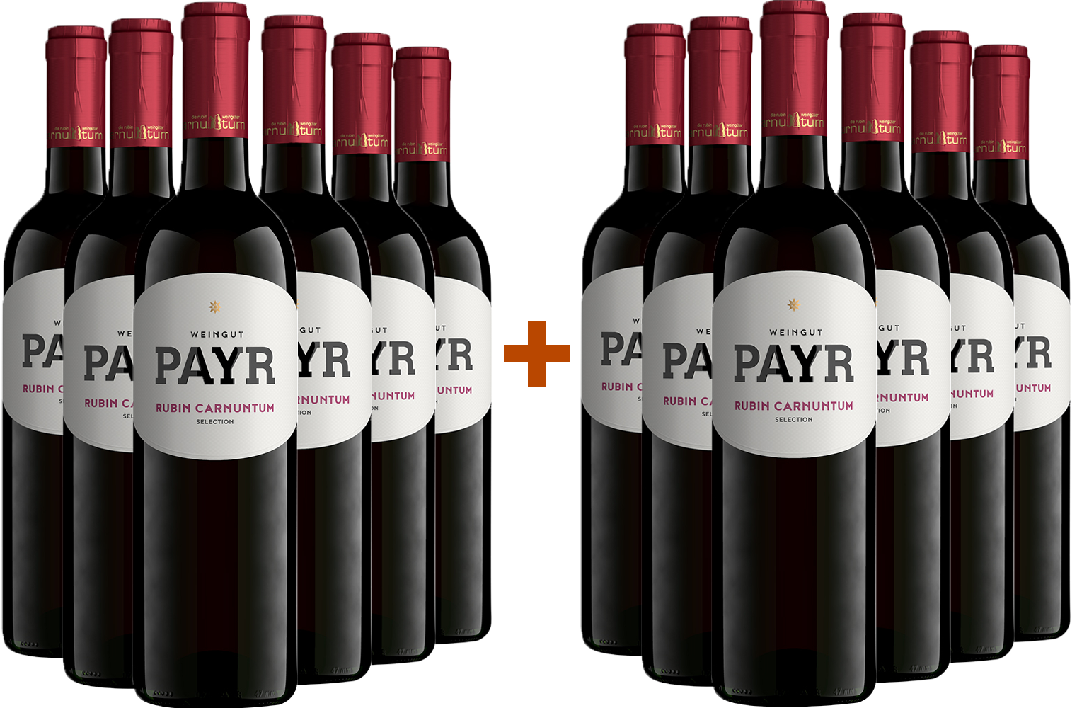 6+6 Paket Zweigelt Rubin Carnuntum DAC ÖTW Gebietswein Bio BIO