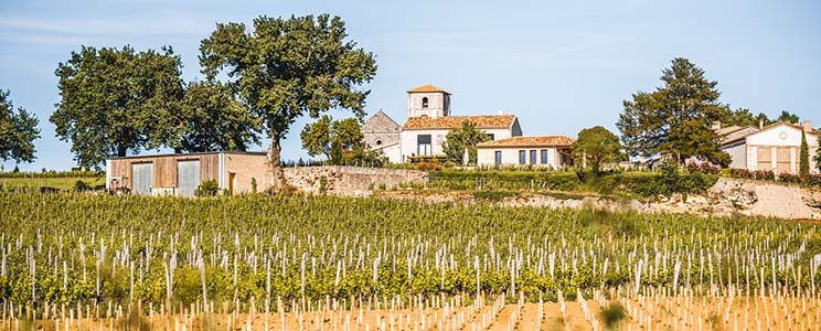 Domaine Jean Monnier & Fils