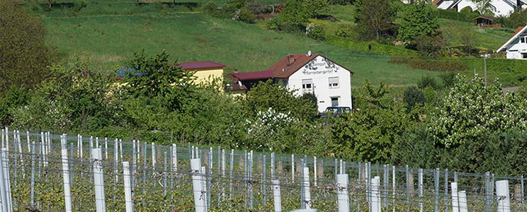 Herrenbergerhof