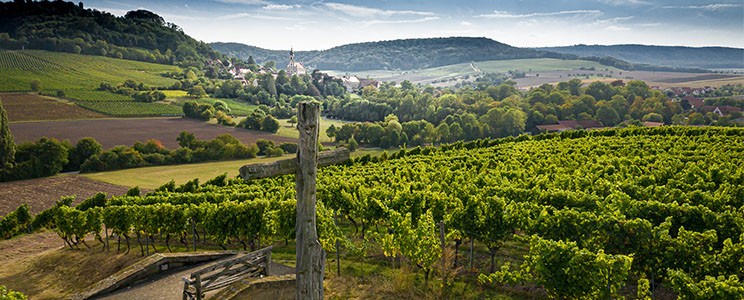 Fürstlich Castell’sches Domänenamt