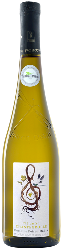 2024 Cuvée "Clé du sol de Chantegrolle" Muscadet Sèvre et Maine sur Lie AOP